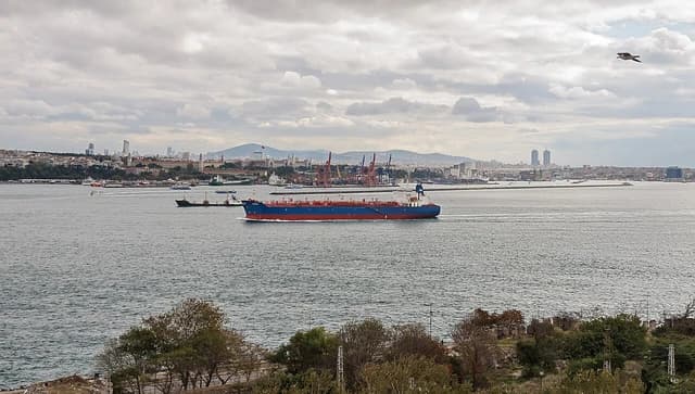 Cargo ship sailing past the Istanbul Haydarpasa port under a cloudy sky.