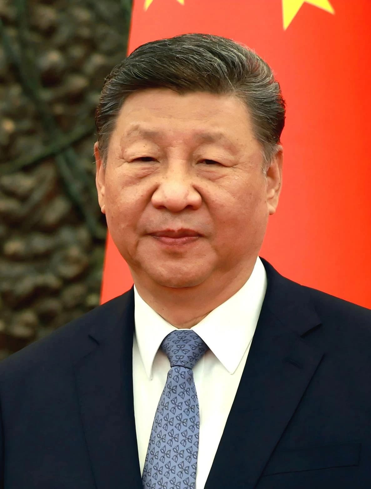 Xi Jinping, President of China, in a formal portrait setting.