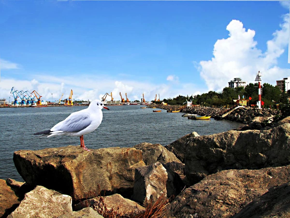 View of the port city Bandar-e Anzali on the Caspian Sea with shipping cranes and boats.