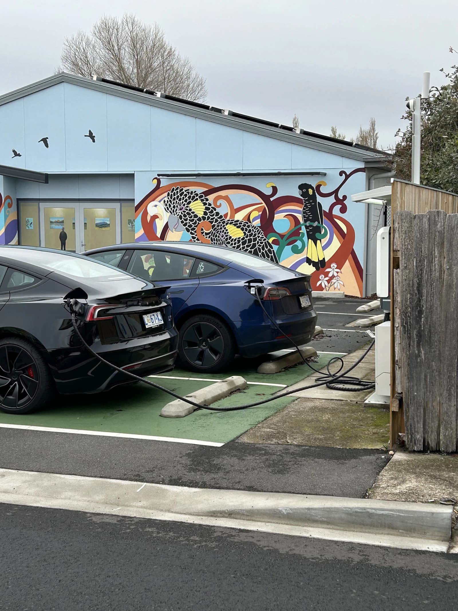 Two Tesla Model 3 cars charging at an electric vehicle station in Sheffield, Tasmania.