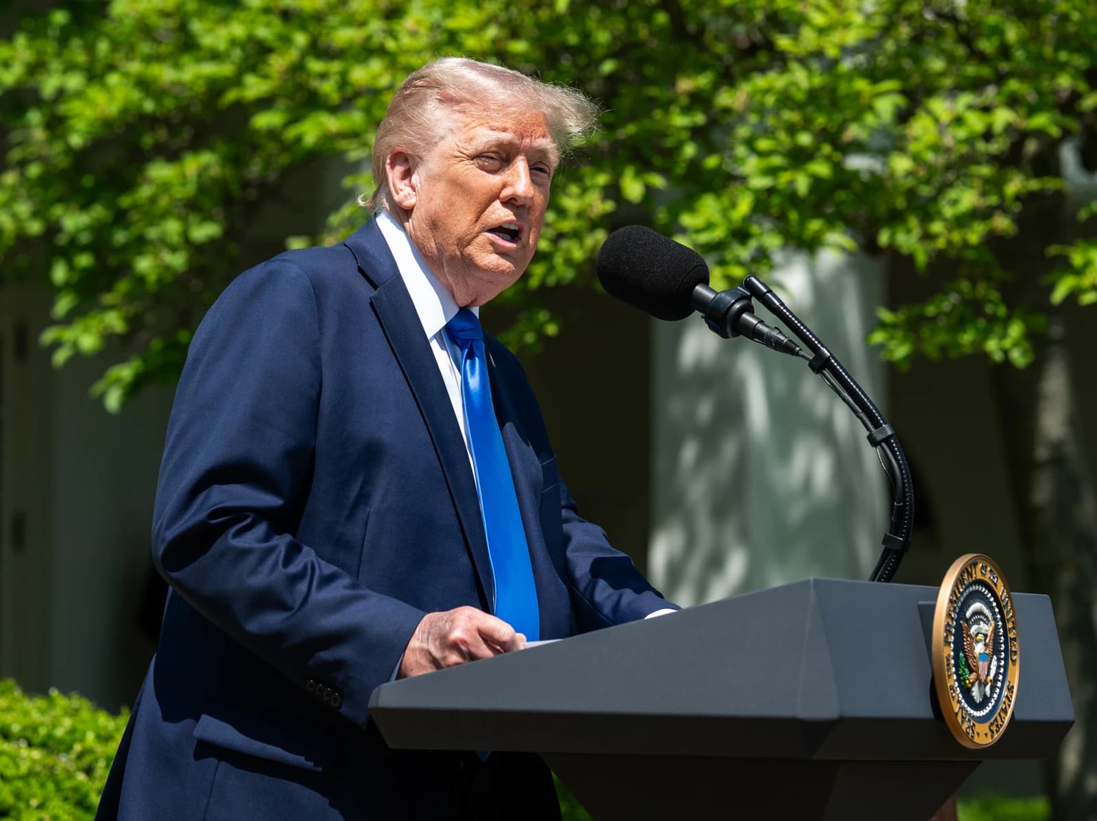 Donald Trump, former President of the United States, speaking at a podium outdoors.