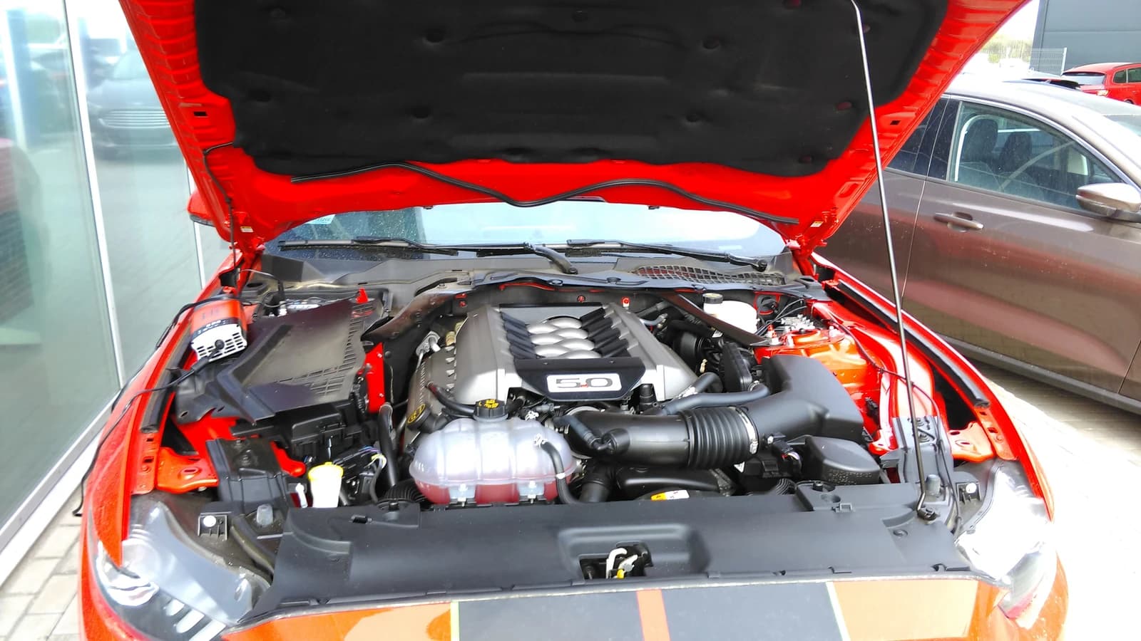 Ford Mustang GT engine bay with the hood open, showing the 5.0 V8 engine.