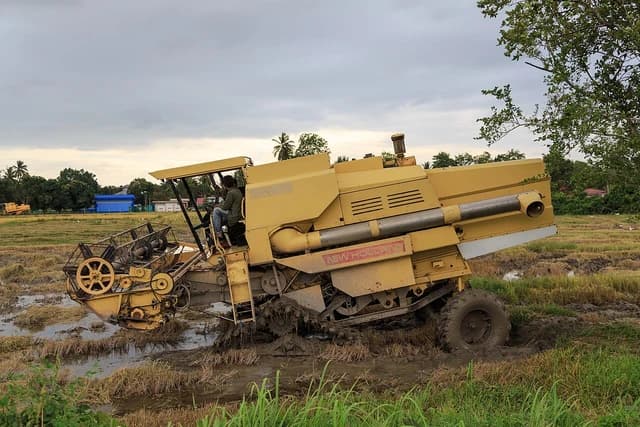A farmer operates a large yellow combine harvester stuck in a muddy rice paddy field.