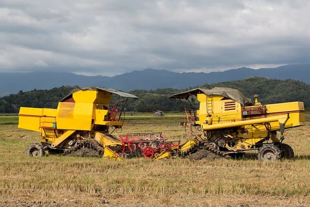 Two yellow combine harvesters parked in a rice field after harvest.