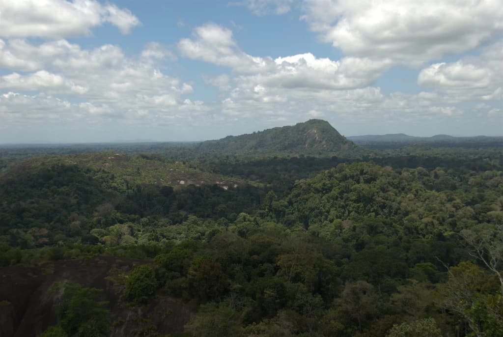 Panoramic view of Voltzberg mountain and dense green rainforest in Suriname under a cloudy sky.