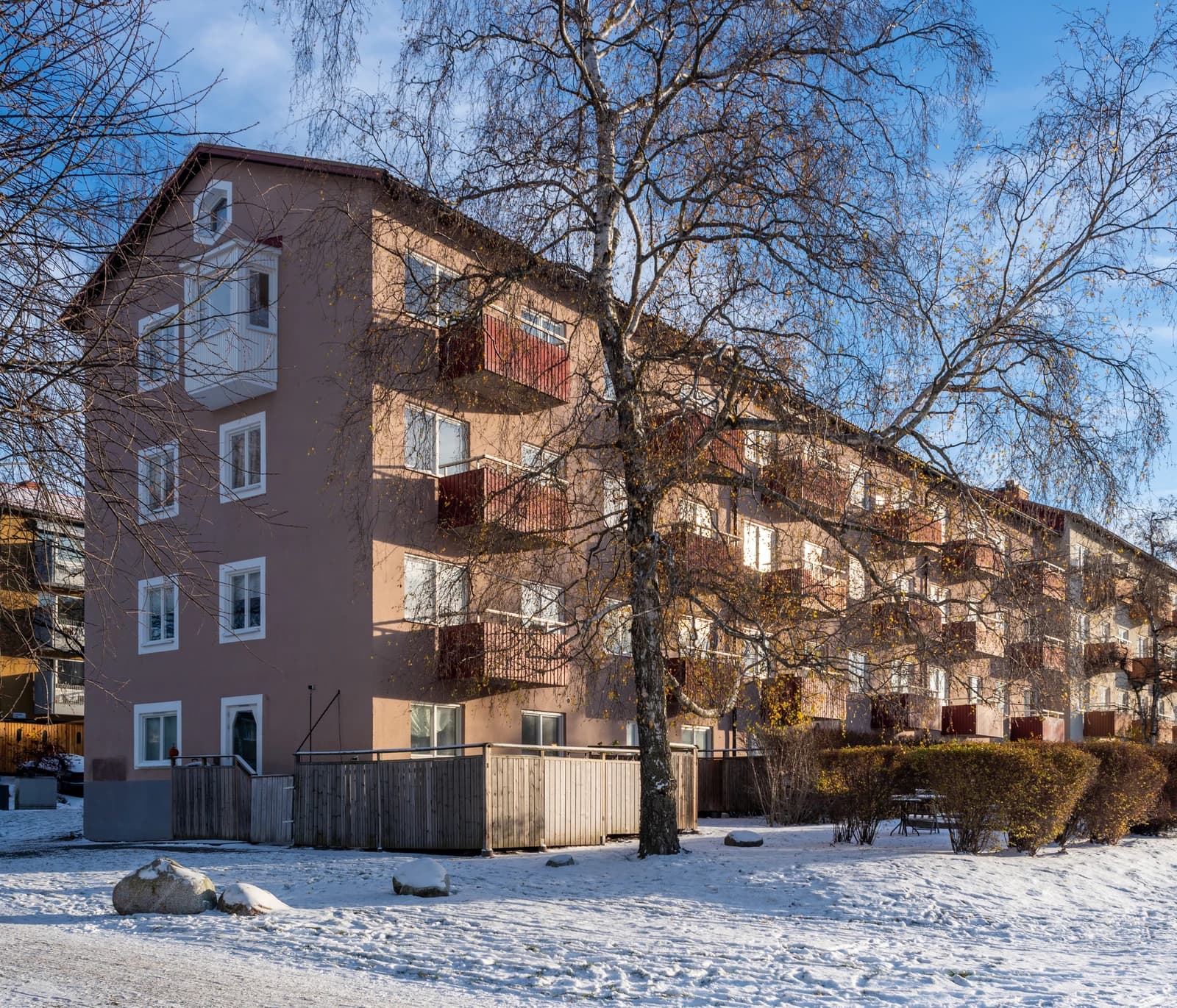 Apartment building with multiple balconies and a large bare tree in front, set against a blue sky.