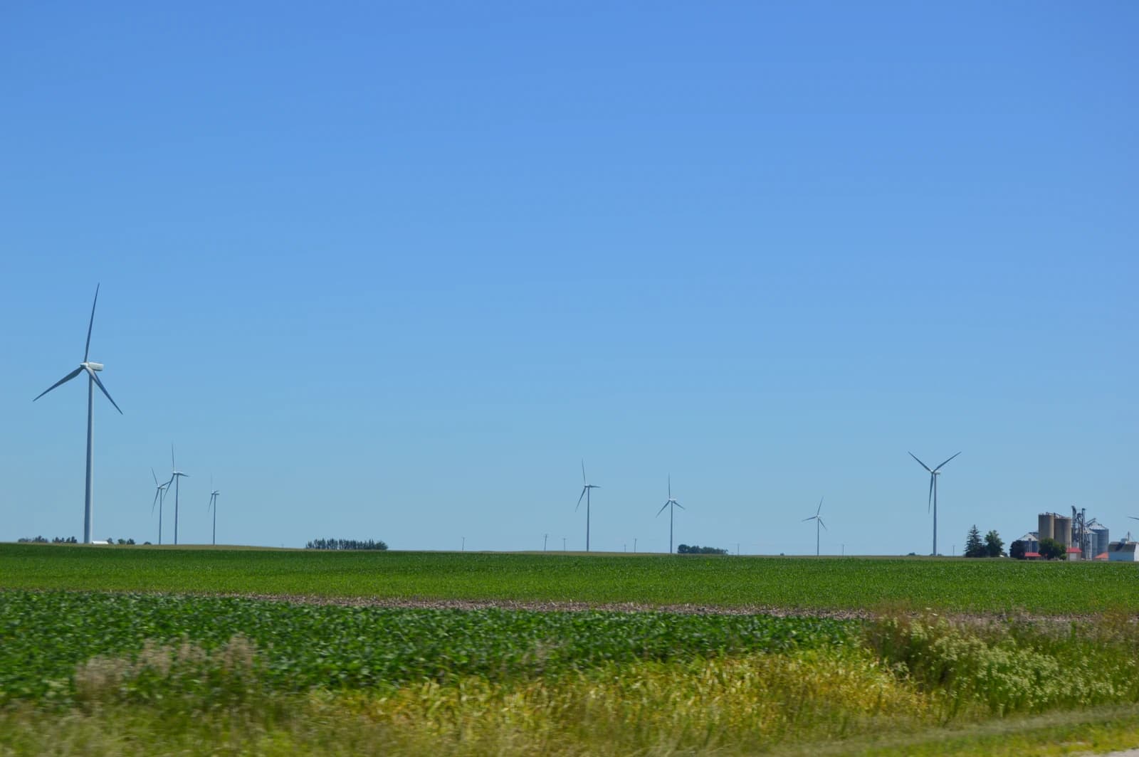 Green soybean fields extend across a flat landscape under a clear blue sky, with wind turbines visible in the distance.