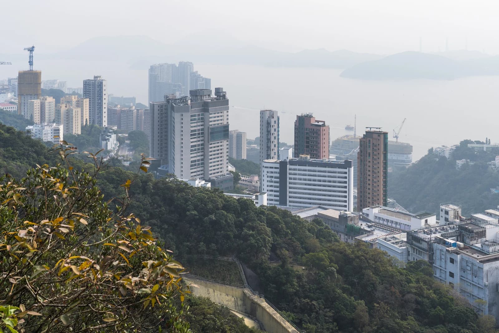 Cityscape of Hong Kong with buildings, mountains, and water visible from an elevated hiking trail.