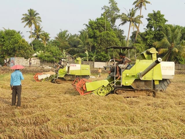 Two green Claas Crop Tiger harvesting machines operating in a harvested field, with workers.