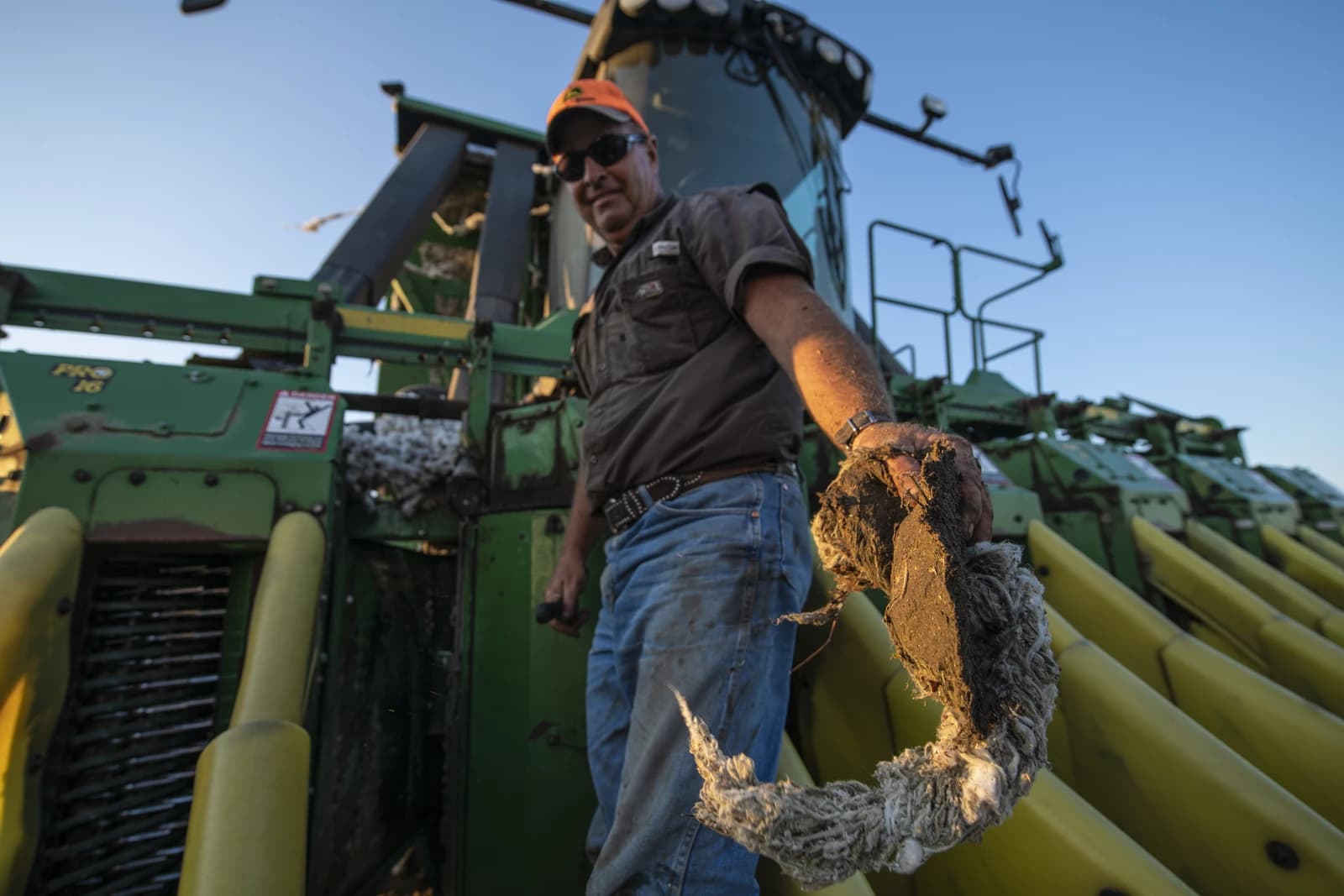 Farmer holding a cotton boll and fiber, standing on a large cotton harvester.