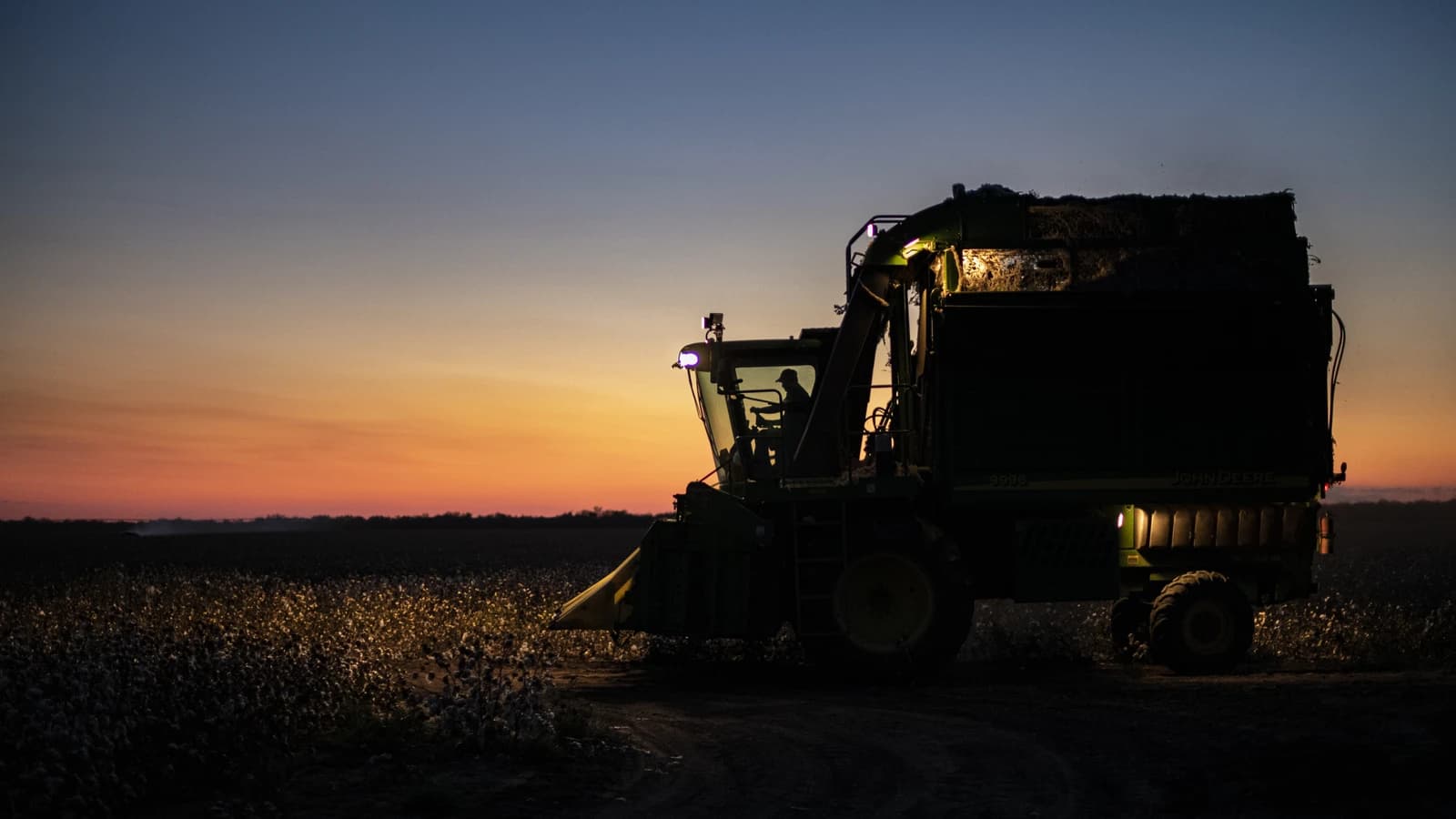 Farmer in profile operating a cotton picker in a field at dusk.