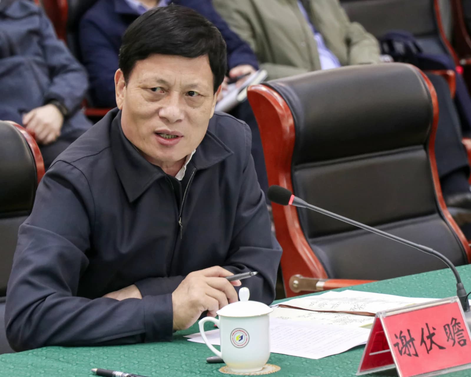 Xie Fuzhan, Chinese Communist Party official, speaking at a conference table.
