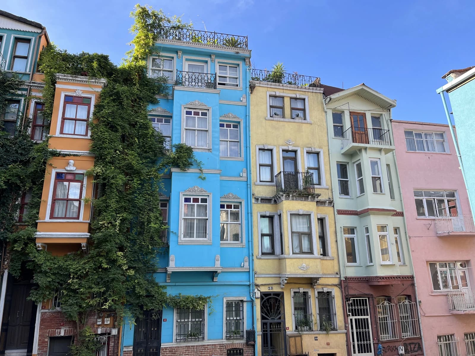 Facades of brightly painted houses with windows and green vines in Istanbul.