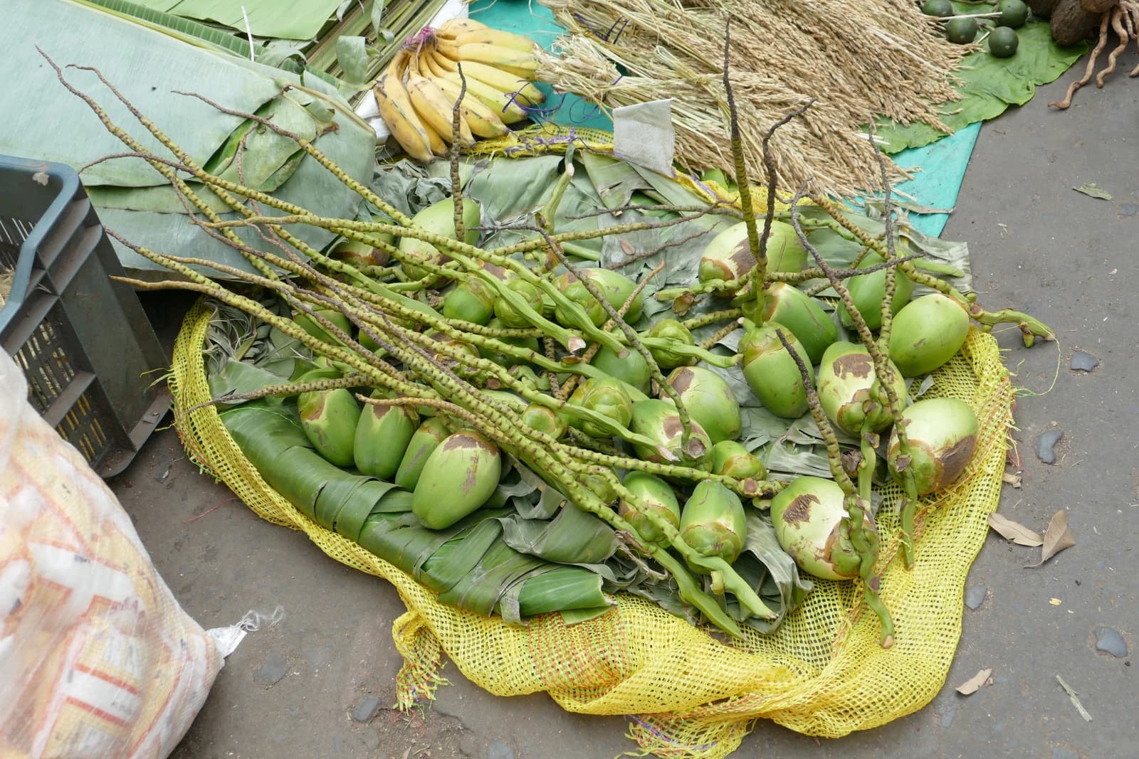 Green coconuts and banana bunches displayed on banana leaves on the ground.