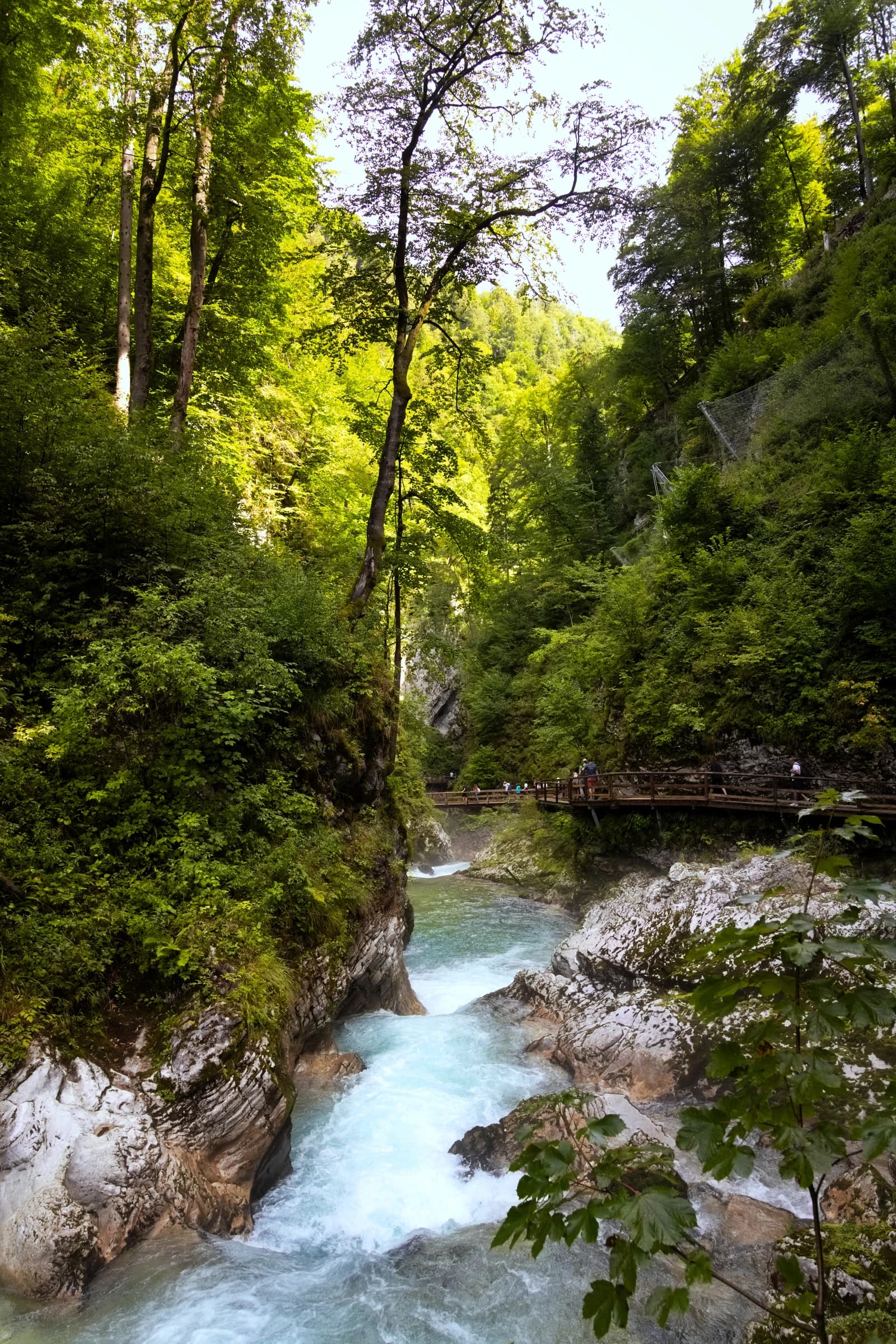 Vintgar Gorge, Slovenia, with a wooden walkway for tourists and a flowing river.