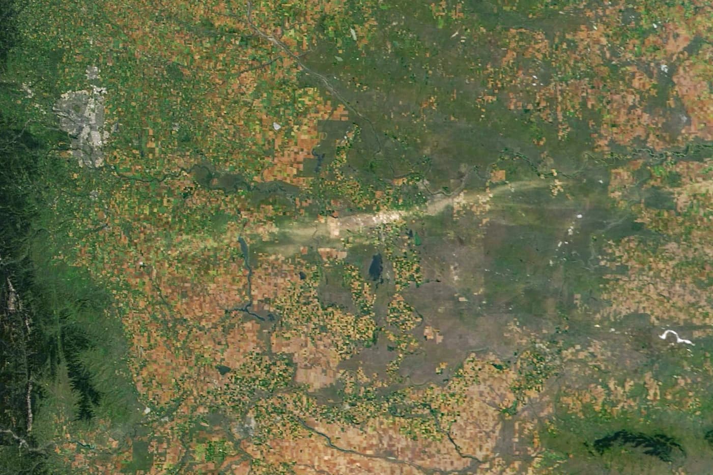 Aerial view of farmland in Alberta, Canada, with light-colored streaks indicating hail damage.