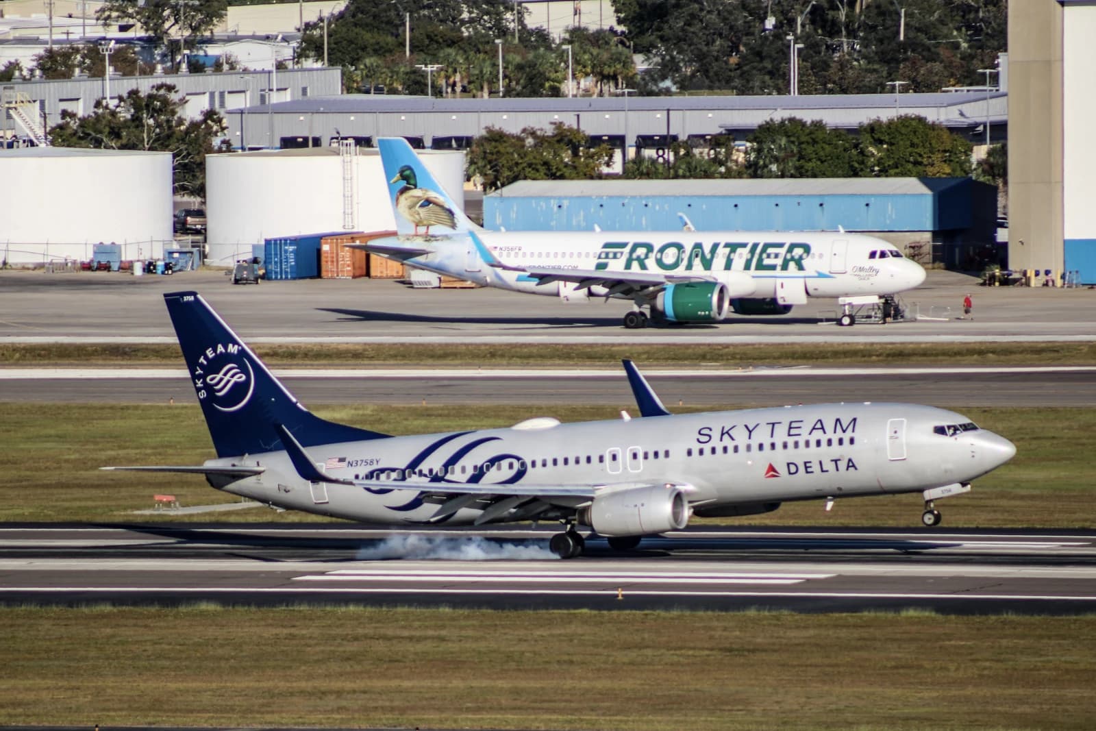 A Delta Air Lines Boeing 737-800 aircraft landing on a runway.