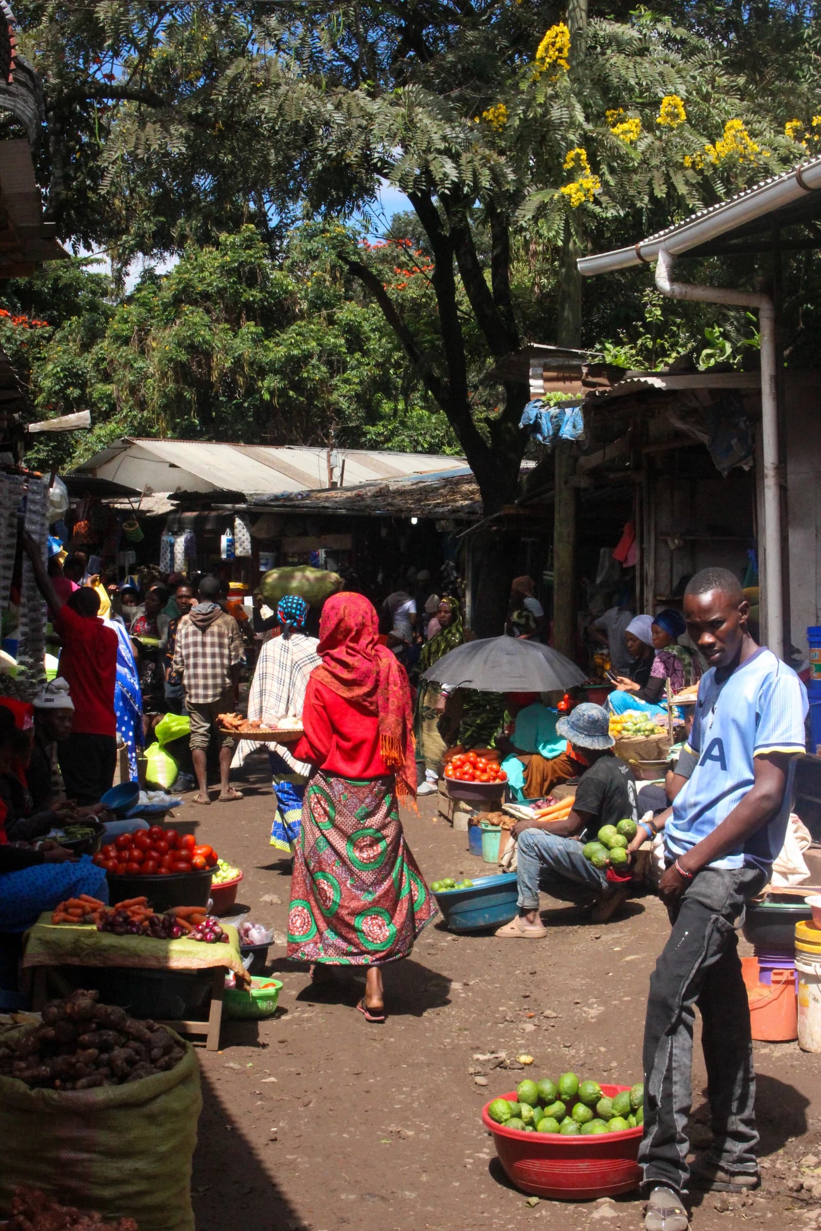 Vendors sell tomatoes, avocados, and other produce at a bustling outdoor market.
