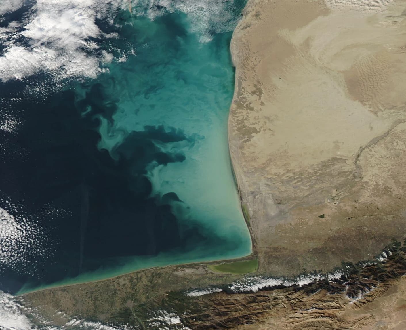 Satellite image of a phytoplankton bloom in the turquoise waters of the Caspian Sea.