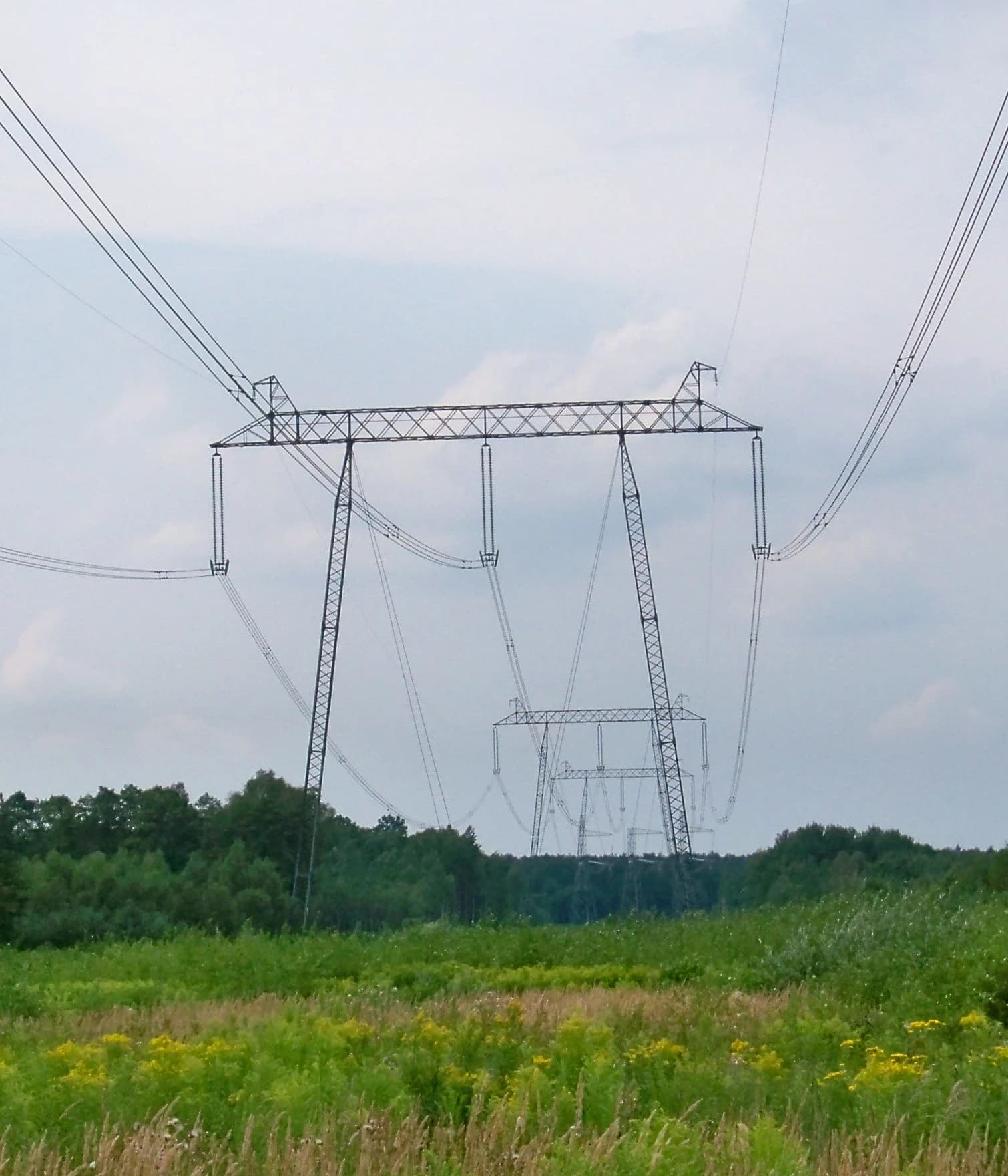 High-voltage electricity transmission lines and pylons in a rural landscape near Nienadowka, Poland.