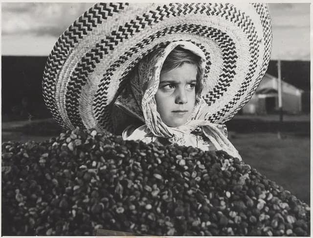Young Brazilian farmer wearing a large straw hat looking at coffee beans.