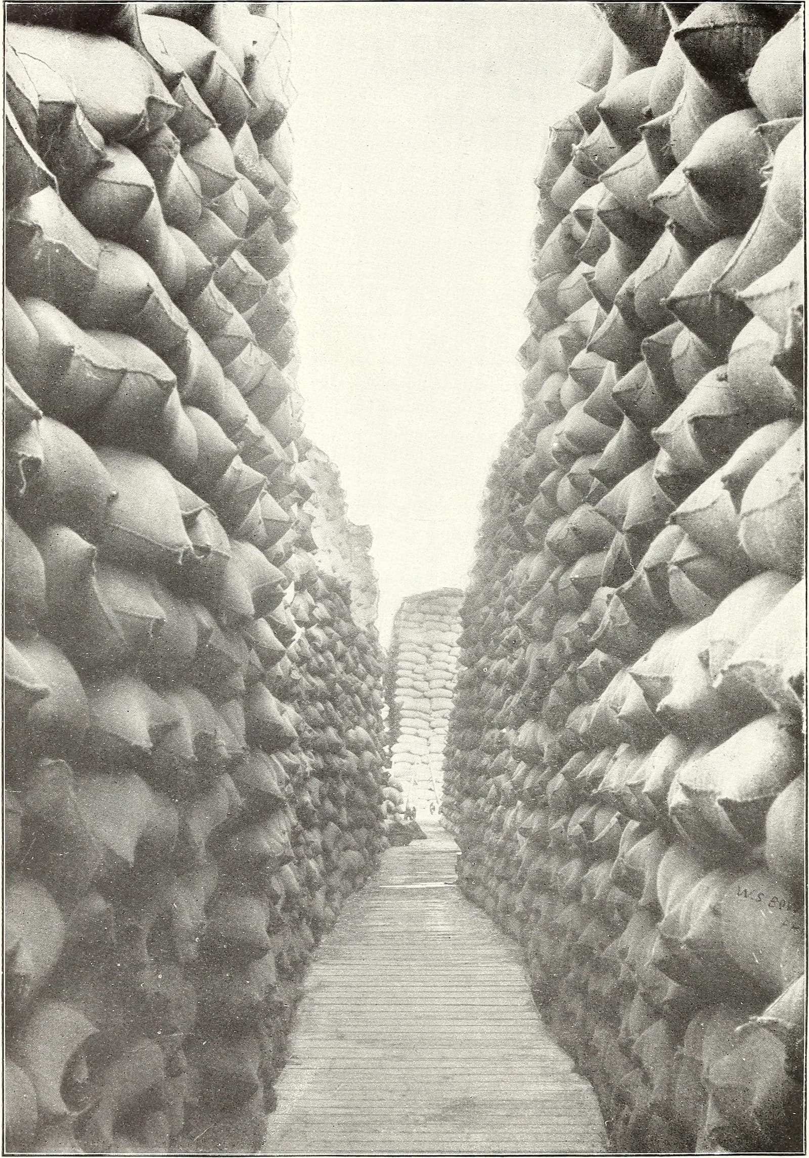 Stacks of numerous large sacks of wheat or grain in a storage facility.