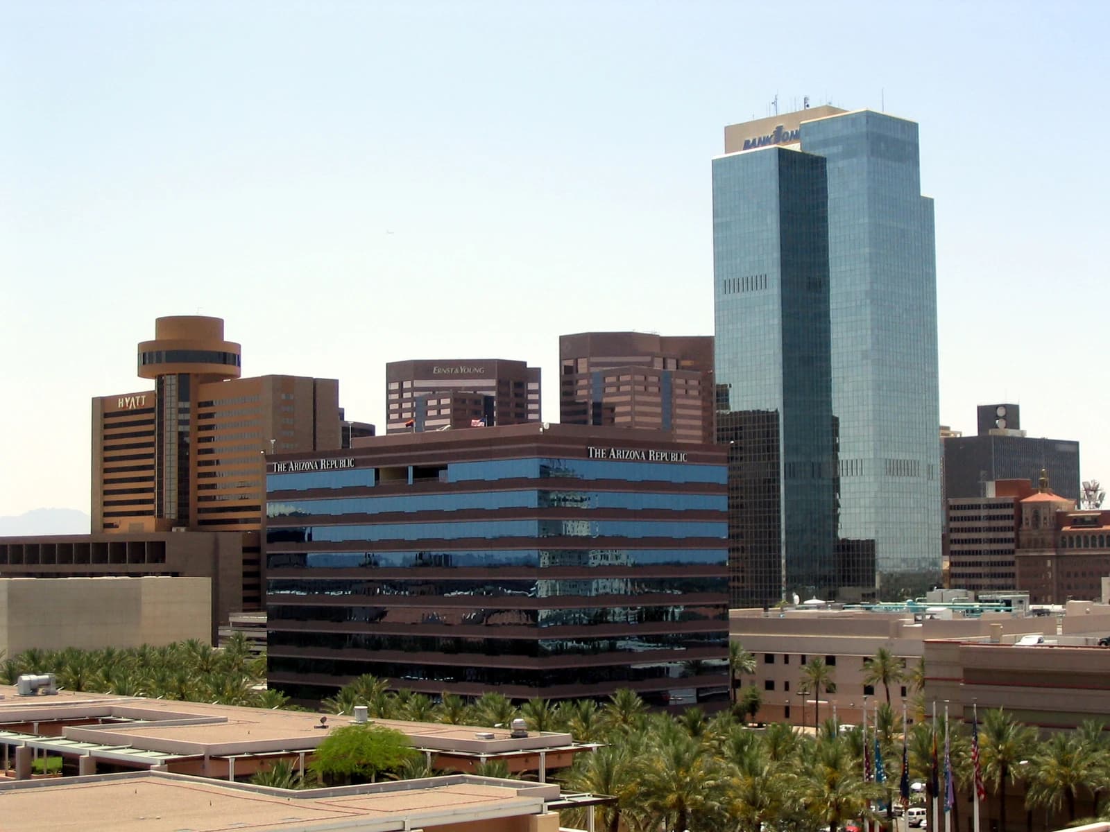 Downtown Phoenix skyline featuring office buildings and palm trees under a clear sky.