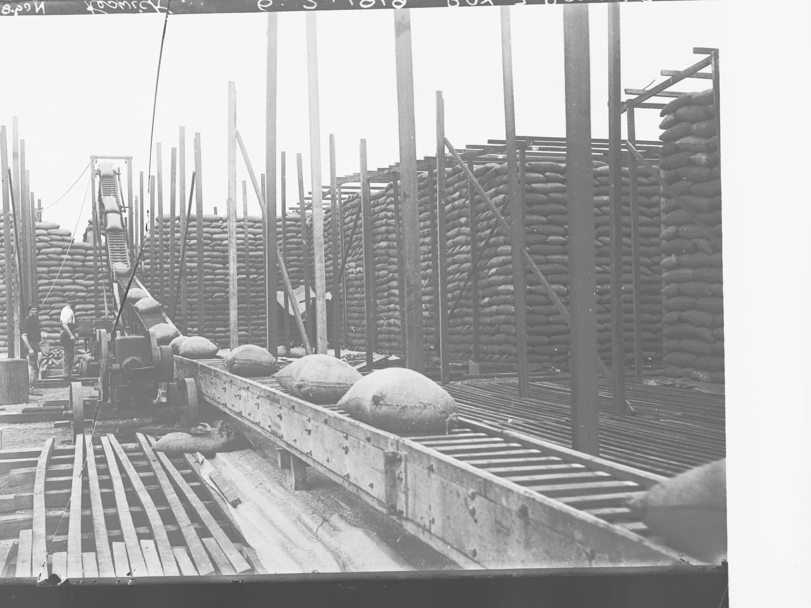Bags of wheat moving on a conveyor belt towards large stacks of stored wheat.