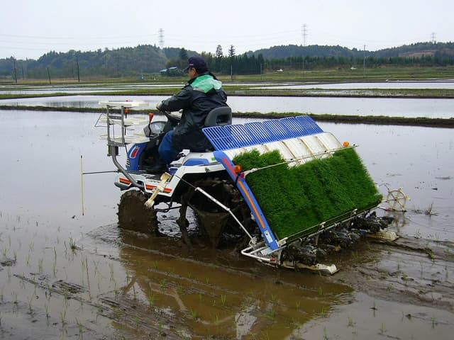 A person on a rice planting machine working in a water-filled rice field.