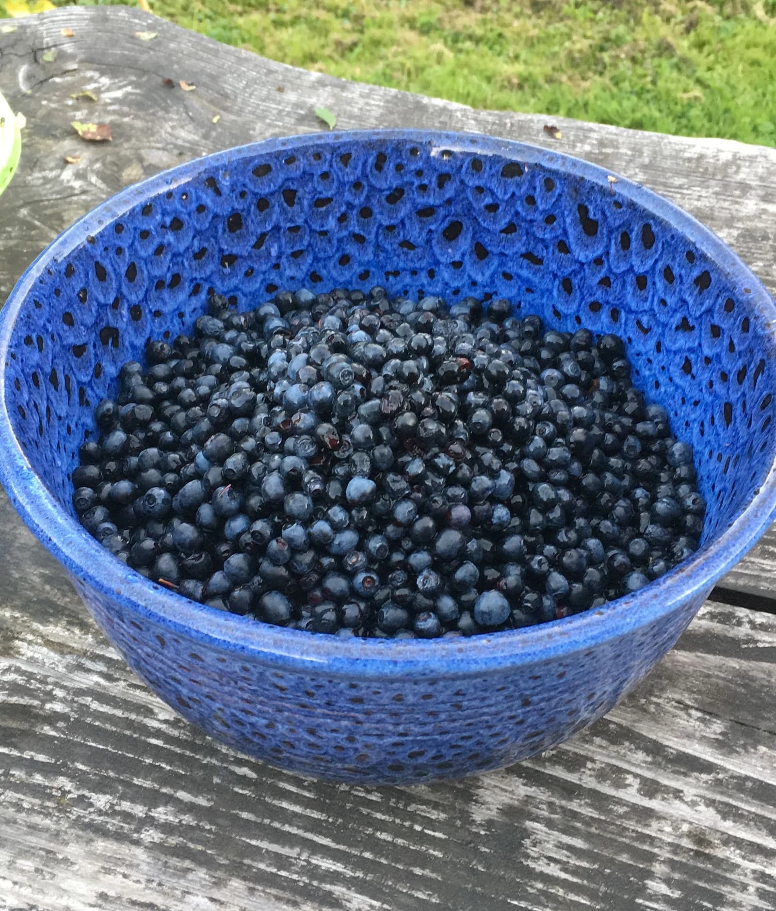 A close-up view of a blue ceramic bowl full of fresh blueberries.
