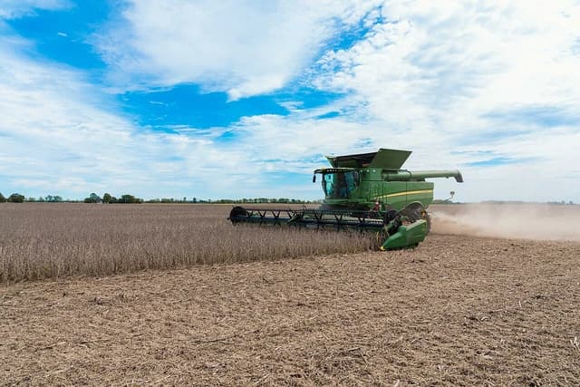 A large green combine harvester cuts soybeans in a wide agricultural field.