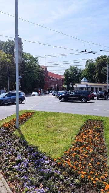 Kaliningrad Oblast Government Building seen from across a street with cars and flowers.