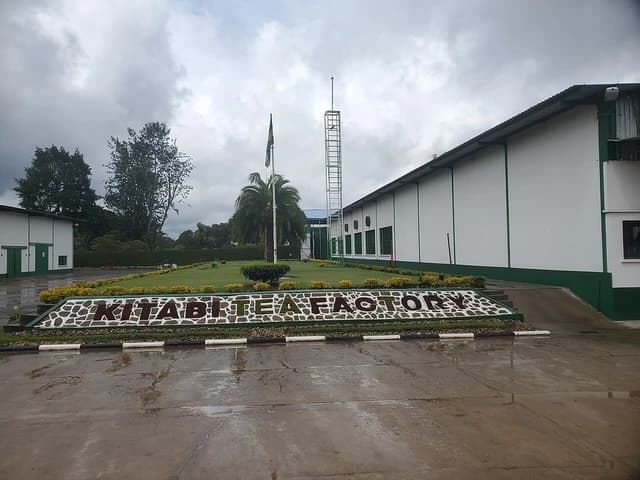 Exterior view of Kitabi Tea Factory showing buildings and green landscaping under cloudy sky.