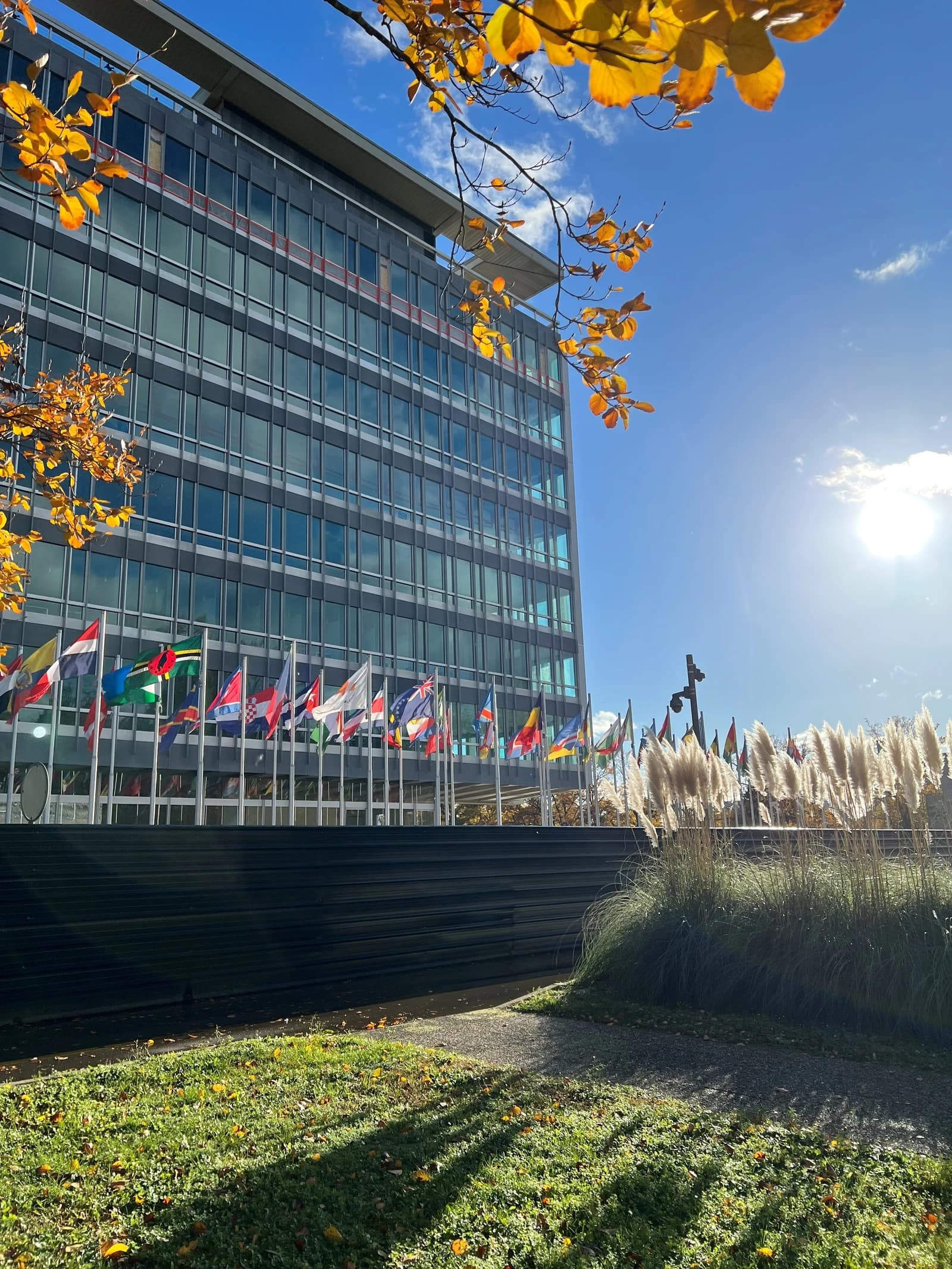 Exterior view of the World Health Organization headquarters building in Geneva, Switzerland.