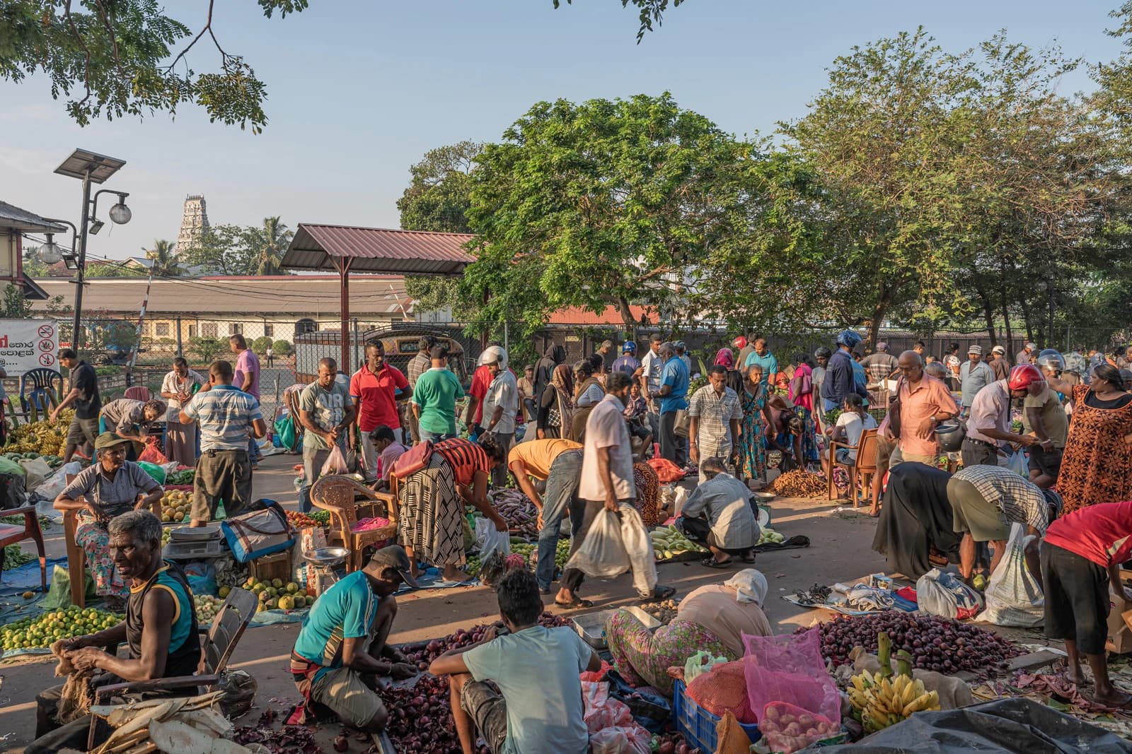 People buying and selling produce at a busy street market in Colombo, Sri Lanka.
