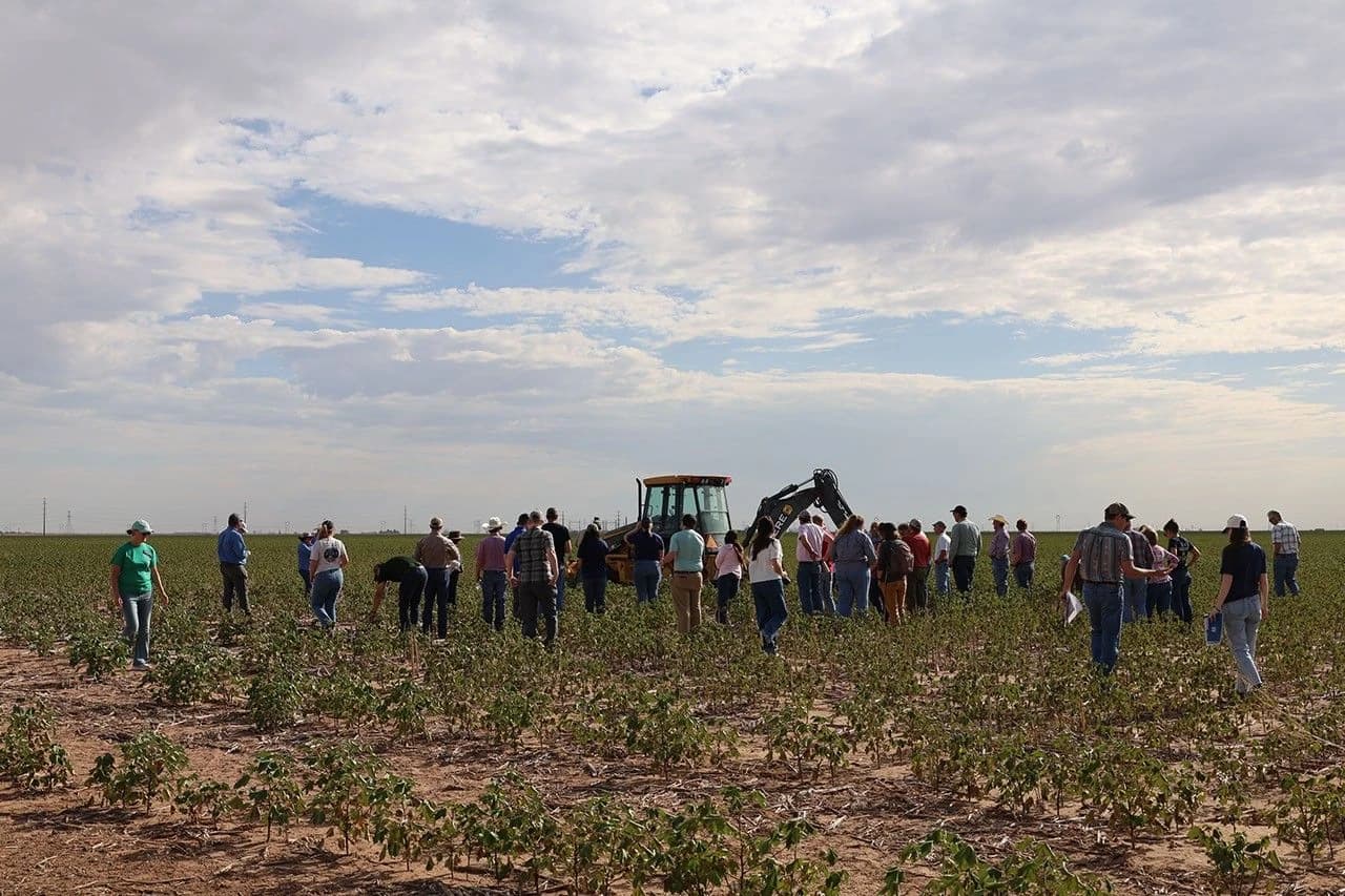 Farmers and agricultural workers gather in a field with an excavator in Texas.