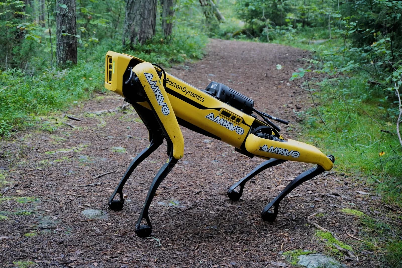 Boston Dynamics Spot robot, a yellow dog-like robot, stands on a forest path.