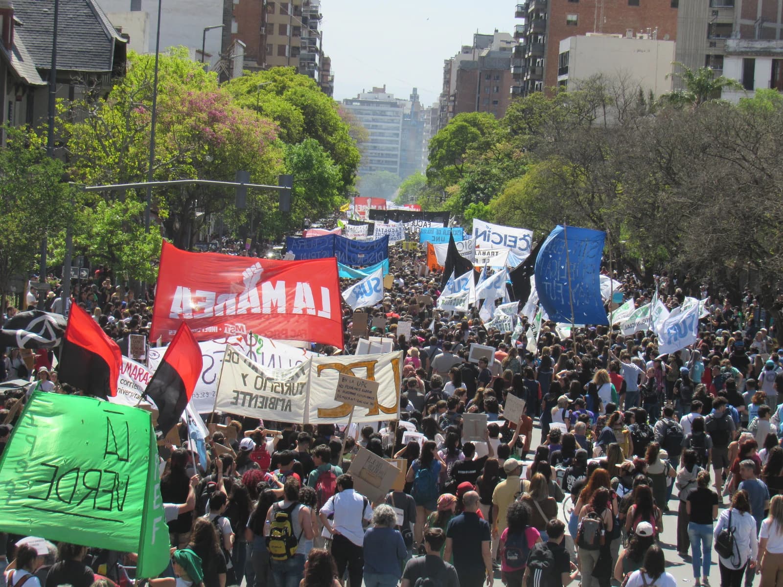 Large crowd of people carrying banners and flags during a university protest in Córdoba.