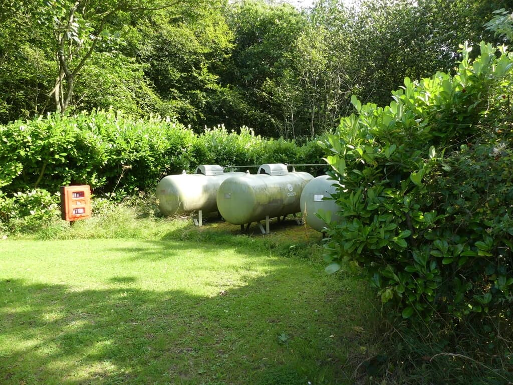 Fixed propane gas tanks installed in a grassy area with trees and bushes.