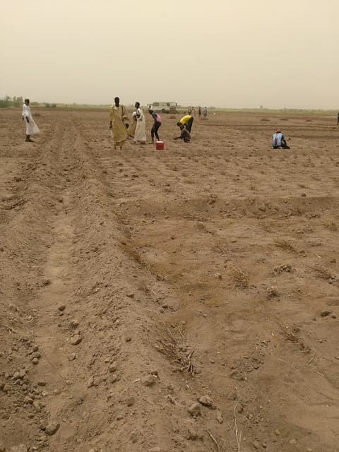 Farmers planting crops in a dry, tilled field in an arid landscape.