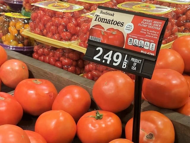 Tomatoes on display in a grocery store with a price sign of $2.49 per pound.