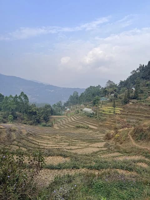 Overview of terraced rice fields nestled in a mountainous landscape.