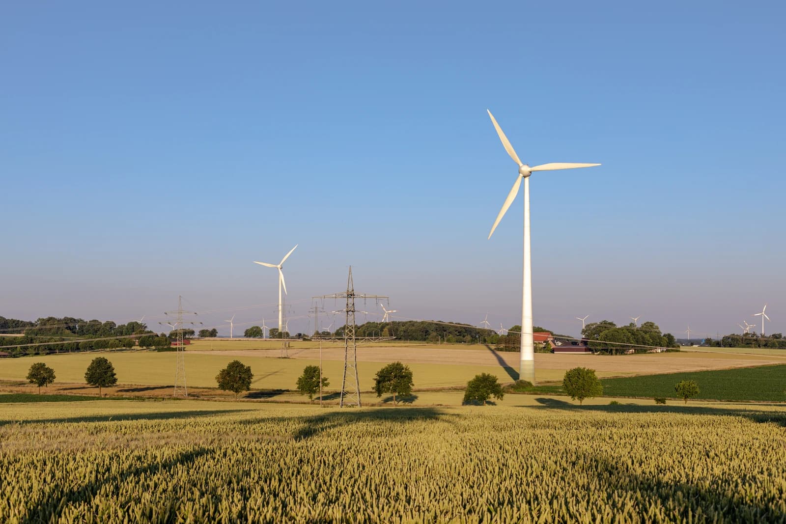 Wind turbines, power lines, and a field of crops under a clear blue sky.