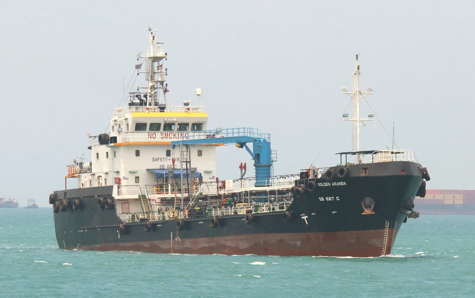 MV Golden Aranda, a vessel, sailing on the water with a light sky.