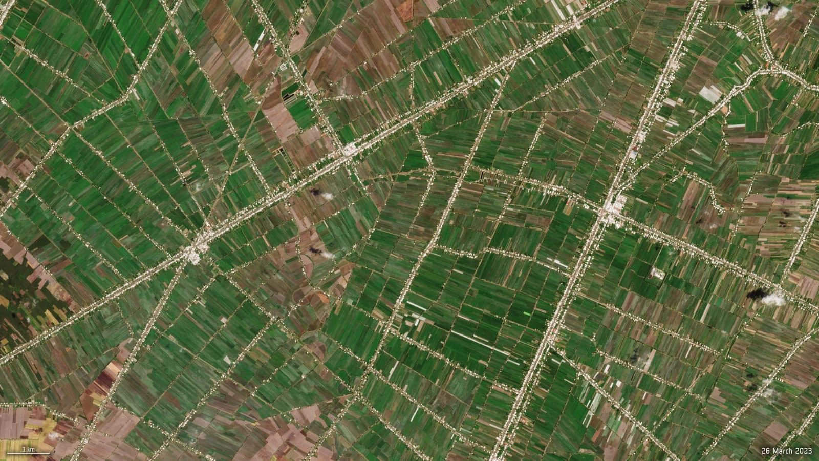 Aerial satellite image showing a network of green and brown rice fields in the Mekong Delta.