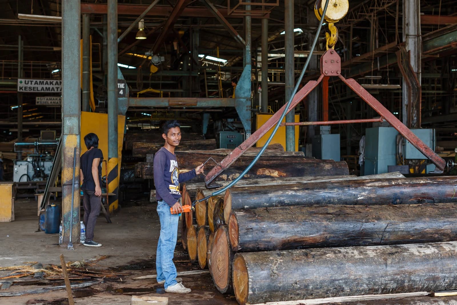 Young factory worker standing next to stacked logs in a plywood factory.