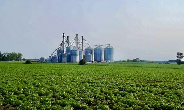 Several large silver grain silos and a green crop field under a light sky.