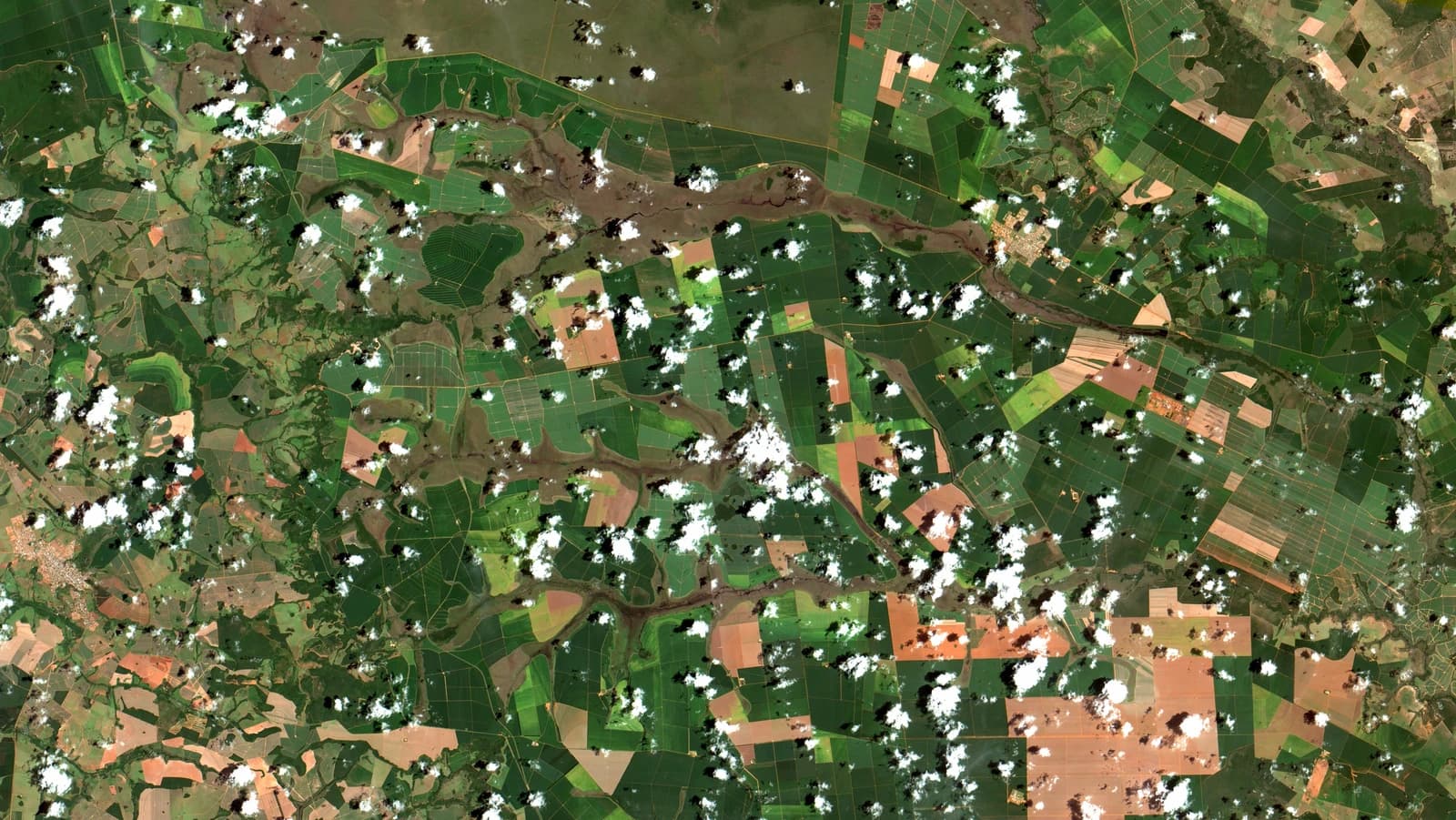 Aerial satellite image showing a mosaic of green agricultural fields, brown cultivated land, and natural vegetation patterns.