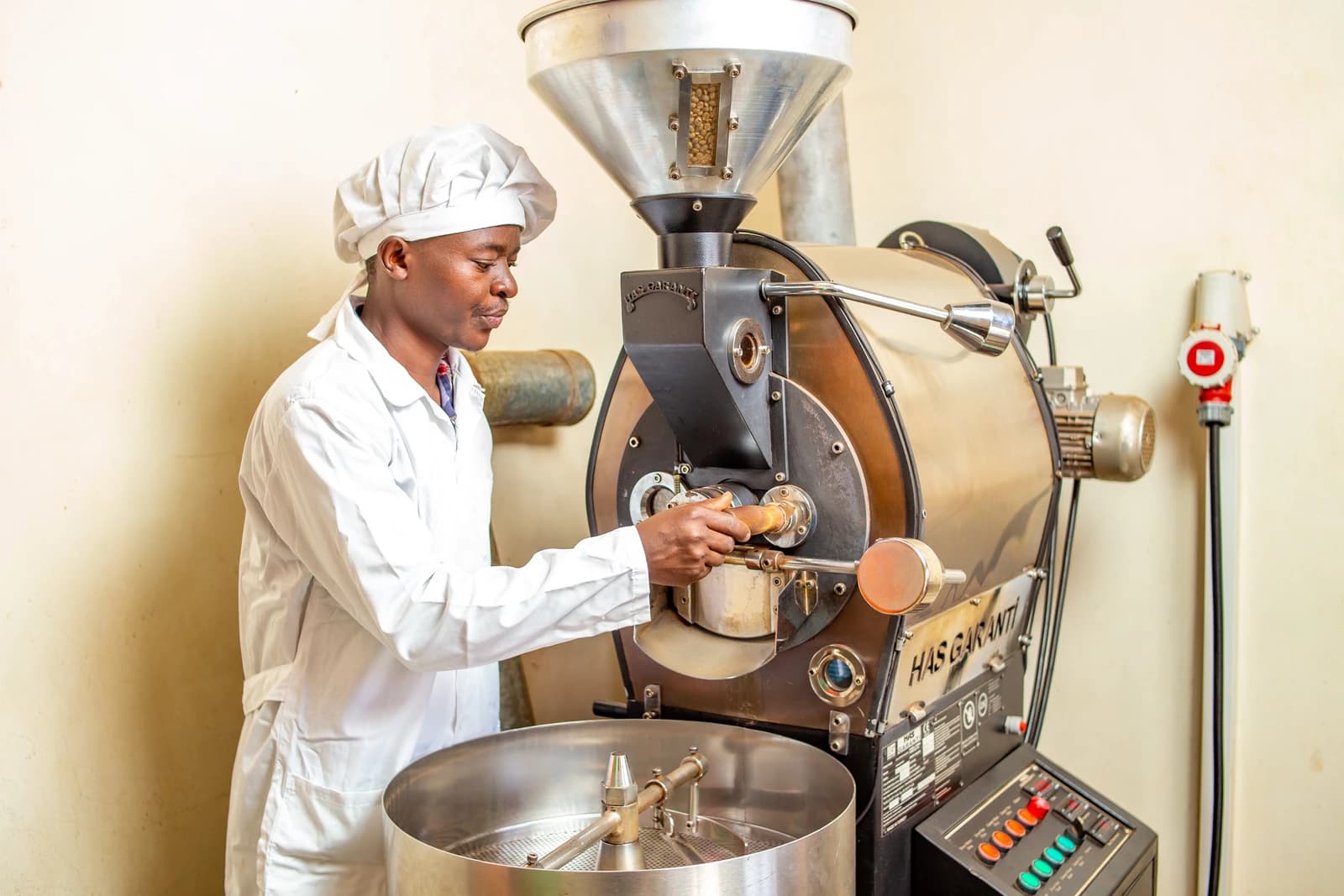 Coffee worker checks progress of coffee beans in a commercial roasting machine.