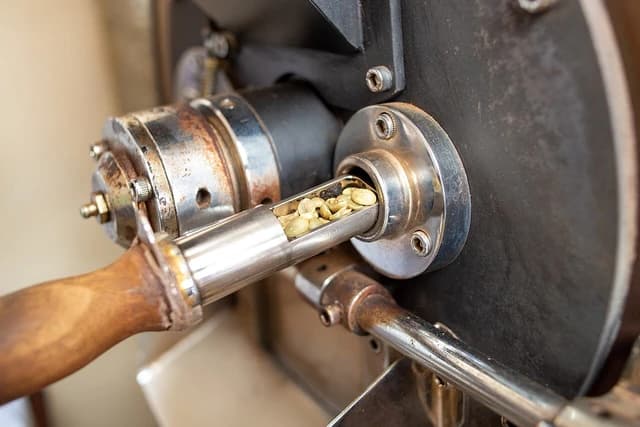 Green coffee beans in a metal probe pulled from a coffee roasting machine.